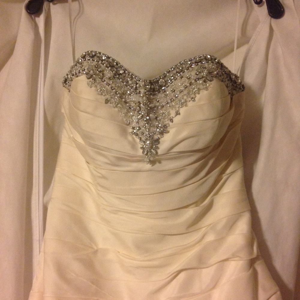 Priscilla candle light wedding dress SZ 2